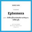 ephemera แปลว่า?, คำศัพท์ภาษาอังกฤษ ephemera แปลว่า สิ่งที่มีอายุสั้นและไม่ค่อยมีความสำคัญมาก, สิ่งที่มีอายุสั้น ประเภท N หมวด N