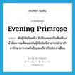 evening primrose แปลว่า?, คำศัพท์ภาษาอังกฤษ evening primrose แปลว่า พันธุ์ไม้ชนิดหนึ่ง ใบมีขนดอกเป็นสีเหลือง น้ำมันจากเมล็ดของพันธุ์ไม้ชนิดนี้สามารถนำมาทำยารักษาอาการหรือปัญหาเกี่ยวกับประจำเดือน ประเภท N หมวด N