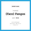 (face) fungus แปลว่า?, คำศัพท์ภาษาอังกฤษ (face) fungus แปลว่า หนวด ประเภท SL หมวด SL