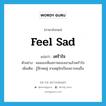 feel sad แปลว่า?, คำศัพท์ภาษาอังกฤษ feel sad แปลว่า เศร้าใจ ประเภท V ตัวอย่าง ผมมองเห็นสภาพของเขาแล้วเศร้าใจ เพิ่มเติม รู้สึกหดหู่ สาเหตุมักเป็นเพราะคนอื่น หมวด V