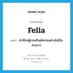 fella แปลว่า?, คำศัพท์ภาษาอังกฤษ fella แปลว่า คำเรียกผู้ชายหรือเด็กชายอย่างไม่เป็นทางการ ประเภท N หมวด N