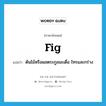 fig. แปลว่า?, คำศัพท์ภาษาอังกฤษ fig แปลว่า ต้นไม้หรือผลตระกูลมะเดื่อ ไทรและกร่าง ประเภท N หมวด N