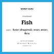 fish แปลว่า?, คำศัพท์ภาษาอังกฤษ fish แปลว่า จับปลา (ด้วยอุปกรณ์), หาปลา, ตกปลา, ตีอวน ประเภท VI หมวด VI