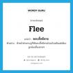 flee แปลว่า?, คำศัพท์ภาษาอังกฤษ flee แปลว่า หลบลี้หนีหาย ประเภท V ตัวอย่าง หัวหน้าฝ่ายกบฏก็ได้หลบลี้หนีหายไปแล้วเหลือแต่เพียงลูกน้องชั้นปลายๆ หมวด V