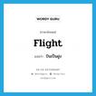 flight แปลว่า?, คำศัพท์ภาษาอังกฤษ flight แปลว่า บินเป็นฝูง ประเภท VI หมวด VI