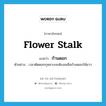 flower stalk แปลว่า?, คำศัพท์ภาษาอังกฤษ flower stalk แปลว่า ก้านดอก ประเภท N ตัวอย่าง เวลาตัดดอกกุหลาบจะต้องเหลือก้านดอกให้ยาว หมวด N