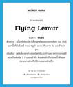 flying lemur แปลว่า?, คำศัพท์ภาษาอังกฤษ flying lemur แปลว่า พะจง ประเภท N ตัวอย่าง ญี่ปุ่นมีเพียงสัตว์เลี้ยงลูกด้วยนมบนบกเพียง 118 พันธุ์ นอกนั้นก็ยังมี หมี กวาง หมูป่า พะจง ค้างคาว ลิง และตัวแร็คคูน เพิ่มเติม สัตว์เลี้ยงลูกด้วยนมชนิดหนึ่ง รูปร่างคล้ายกระรอกแต่มีหนังเป็นพังผืด 2 ข้างของลำตัว ตั้งแต่คอไปถึงปลายนิ้วตีนและปลายหางสำหรับใช้กางออกคล้ายปีก หมวด N