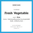 fresh vegetable แปลว่า?, คำศัพท์ภาษาอังกฤษ fresh vegetable แปลว่า ผักสด ประเภท N ตัวอย่าง ไก่ต้องกินแคลเซี่ยมและผักสด จึงจะเจริญเติบโตได้ดี เพิ่มเติม ผักที่เพิ่งเก็บมาใหม่ๆ หมวด N