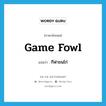 game fowl แปลว่า?, คำศัพท์ภาษาอังกฤษ game fowl แปลว่า กีฬาชนไก่ ประเภท N หมวด N