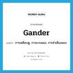 gander แปลว่า?, คำศัพท์ภาษาอังกฤษ gander แปลว่า การเหลือบดู, การแวบมอง, การชำเลืองมอง ประเภท N หมวด N