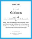 gibbon แปลว่า?, คำศัพท์ภาษาอังกฤษ gibbon แปลว่า ชะนี ประเภท N ตัวอย่าง ชะนีเป็นสัตว์ป่าจึงไม่ควรนำมาเลี้ยงเป็นสัตว์เลี้ยงในบ้าน เพิ่มเติม ชื่อสัตว์เลี้ยงลูกด้วยนมในวงศ์ Hylobatidae แขนยาวมาก ไม่มีหาง ขนยาวนุ่ม เดินตัวตั้งตรงได้ ชอบห้อยโหนอยู่ตามต้นไม้สูงๆ ร้องเสียงดัง เสียงร้องแสดงถึงอาณาเขตของแต่ละคู่ แต่ละชนิดมีเสียงร้องไม่เหมือนกัน กินผลไม้และใบไม้ หมวด N