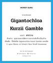 Gigantochloa kurzii Gamble แปลว่า?, คำศัพท์ภาษาอังกฤษ Gigantochloa kurzii Gamble แปลว่า ตากวาง ประเภท N ตัวอย่าง คุณยายอยากได้ตากวางมาประดับที่ระเบียงบ้าน เพิ่มเติม ชื่อไผ่ชนิด Gigantochloa kurzii Gamble และชนิด G. apus (Roem. et Schult.) Kurz ในวงศ์ Gramineae หมวด N