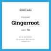 gingerroot แปลว่า?, คำศัพท์ภาษาอังกฤษ gingerroot แปลว่า ขิง ประเภท N หมวด N