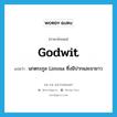 godwit แปลว่า?, คำศัพท์ภาษาอังกฤษ godwit แปลว่า นกตระกูล Limosa ซึ่งมีปากและขายาว ประเภท N หมวด N