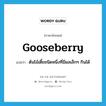 gooseberry แปลว่า?, คำศัพท์ภาษาอังกฤษ gooseberry แปลว่า ต้นไม้เตี้ยชนิดหนึ่งที่มีผลเล็กๆ กินได้ ประเภท N หมวด N