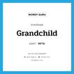 grandchild แปลว่า?, คำศัพท์ภาษาอังกฤษ grandchild แปลว่า หลาน ประเภท N หมวด N