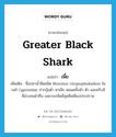 Greater black shark แปลว่า?, คำศัพท์ภาษาอังกฤษ Greater black shark แปลว่า เพี้ย ประเภท N เพิ่มเติม ชื่อปลาน้ำจืดชนิด Morulius chrysophekadion ในวงศ์ Cyprinidae ปากงุ้มต่ำ ตาเล็ก ตลอดทั้งหัว ตัว และครีบมีสีม่วงจนดำทึบ เฉพาะเกล็ดมีจุดสีเหลืองประปราย หมวด N