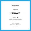 วุฒ ภาษาอังกฤษ?, คำศัพท์ภาษาอังกฤษ วุฒ แปลว่า grown ประเภท ADJ เพิ่มเติม เติบโตแล้ว, ใหญ่แล้ว หมวด ADJ