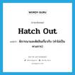 hatch out แปลว่า?, คำศัพท์ภาษาอังกฤษ hatch out แปลว่า พิจารณาและตัดสินเกี่ยวกับ (คำไม่เป็นทางการ) ประเภท PHRV หมวด PHRV