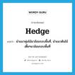 hedge แปลว่า?, คำศัพท์ภาษาอังกฤษ hedge แปลว่า นำแนวพุ่มไม้มาล้อมรอบพื้นที่, นำแนวต้นไม้เตี้ยๆมาล้อมรอบพื้นที่ ประเภท VT หมวด VT