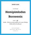 Hemipimlodus borneenis แปลว่า?, คำศัพท์ภาษาอังกฤษ Hemipimlodus borneenis แปลว่า อุก ประเภท N เพิ่มเติม ชื่อเรียกปลากดหลายชนิดในวงศ์ Ariidae ซึ่งเมื่อถูกจับขึ้นมาพ้นน้ำจะร้องเสียงอุกๆ หมวด N