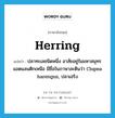 ปลาทะเลชนิดหนึ่ง อาสัยอยู่ในมหาสมุทรแอตแลนติกเหนือ มีชื่อในภาษาละตินว่า Clupea harengus, ปลาเฮริง ภาษาอังกฤษ?, คำศัพท์ภาษาอังกฤษ ปลาทะเลชนิดหนึ่ง อาสัยอยู่ในมหาสมุทรแอตแลนติกเหนือ มีชื่อในภาษาละตินว่า Clupea harengus, ปลาเฮริง แปลว่า herring ประเภท N หมวด N
