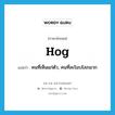 hog แปลว่า?, คำศัพท์ภาษาอังกฤษ hog แปลว่า คนที่เห็นแก่ตัว, คนที่ละโมบโลภมาก ประเภท N หมวด N