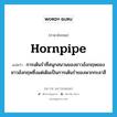 hornpipe แปลว่า?, คำศัพท์ภาษาอังกฤษ hornpipe แปลว่า การเต้นรำที่สนุกสนานของชาวอังกฤษของชาวอังกฤษซึ่งแต่เดิมเป็นการเต้นรำของพวกกะลาสี ประเภท N หมวด N