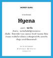 hyena แปลว่า?, คำศัพท์ภาษาอังกฤษ hyena แปลว่า หมาใน ประเภท N ตัวอย่าง หมาในเป็นสัตว์ผู้ล่าขนาดกลาง เพิ่มเติม ชื่อหมาชนิด Cuon alpinus ในวงศ์ Canidae สีค่อนข้างแดง หางสีคล้ำยาวเป็นพวง อาศัยอยู่ตามป่าทึบ ออกหากินเป็นฝูง เวลาเช้ามืดและพลบค่ำ หมวด N