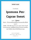 Ipomoea pes-caprae Sweet แปลว่า?, คำศัพท์ภาษาอังกฤษ Ipomoea pes-caprae Sweet แปลว่า บุ้งทะเล ประเภท N ตัวอย่าง ที่ชายหาดหลังคอนโดมีบุ้งทะเลออกดอกสีม่วงขึ้นเป็นแนวยาว เพิ่มเติม ไม้เถาชนิด Ipomoea pes-caprae Sweet ในวงศ์ Convolvulaceae ทอดเลื้อยตามหาดทรายชายทะเล ดอกสีม่วงแดง ใบไม่มีขน ต้นและใบใช้แก้พิษแมงกะพรุน หมวด N