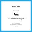 jay แปลว่า?, คำศัพท์ภาษาอังกฤษ jay แปลว่า นกชนิดหนึ่งในตระกูลอีกา ประเภท N หมวด N