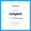 jellyfish แปลว่า?, คำศัพท์ภาษาอังกฤษ jellyfish แปลว่า แมงกะพรุน, กะพรุน ประเภท N หมวด N