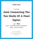 ขื่อมุก ภาษาอังกฤษ?, คำศัพท์ภาษาอังกฤษ ขื่อมุก แปลว่า joint connecting the two shells of a pearl oyster ประเภท N ตัวอย่าง นักดำน้ำชี้ขื่อมุกให้พวกเราดูเป็นตัวอย่าง เพิ่มเติม ส่วนขวางปากหอยมุก หมวด N