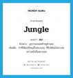 jungle แปลว่า?, คำศัพท์ภาษาอังกฤษ jungle แปลว่า ดง ประเภท N ตัวอย่าง งูชอบนอนขดตัวอยู่ตามดง เพิ่มเติม ป่าที่มีต้นไม้ใหญ่ขึ้นหนาแน่น, ที่ซึ่งมีต้นไม้อย่างใดอย่างหนึ่งขึ้นหนาแน่น หมวด N