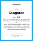 kangaroo แปลว่า?, คำศัพท์ภาษาอังกฤษ kangaroo แปลว่า จิงโจ้ ประเภท N ตัวอย่าง เราขอนำท่านสู่นครซิดนีย์ ชมความงามของนครซิดนีย์ โดยล่องเรือชมอ่าว ชมสวนสัตว์พื้นเมือง อาทิ จิงโจ้ หมีโคอาล่า ฯลฯ เพิ่มเติม ชื่อสัตว์เลี้ยงลูกด้วยนมชนิดหนึ่ง ขาคู่หน้าสั้น ส่วนคู่หลังยาวและแข็งแรง สำหรับกระโดดได้ไกลๆ หางยาวและแข็งแรงสำหรับเป็นอวัยวะที่ช่วยในการทรงตัว ตัวเมียมีถุงที่หน้าท้องสำหรับใส่ลูก มีถิ่นกำเนิดในทวีปออสเตรเลีย หมวด N