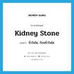 kidney stone แปลว่า?, คำศัพท์ภาษาอังกฤษ kidney stone แปลว่า นิ่วในไต, ก้อนนิ่วในไต ประเภท N หมวด N