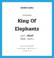 king of elephants แปลว่า?, คำศัพท์ภาษาอังกฤษ king of elephants แปลว่า คชินทร์ ประเภท N เพิ่มเติม พญาช้าง หมวด N