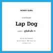 lap dog แปลว่า?, คำศัพท์ภาษาอังกฤษ lap dog แปลว่า สุนัขตัวเล็ก ๆ ประเภท N หมวด N