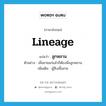 lineage แปลว่า?, คำศัพท์ภาษาอังกฤษ lineage แปลว่า ลูกหลาน ประเภท N ตัวอย่าง เมื่อยายแก่แล้วก็ต้องพึ่งลูกหลาน เพิ่มเติม ผู้สืบเชื้อสาย หมวด N