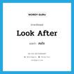 look after แปลว่า?, คำศัพท์ภาษาอังกฤษ look after แปลว่า สนใจ ประเภท PHRV หมวด PHRV