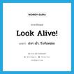 look alive แปลว่า?, คำศัพท์ภาษาอังกฤษ Look alive! แปลว่า เร่งๆ เข้า, รีบกันหน่อย ประเภท SL หมวด SL