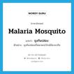 malaria mosquito แปลว่า?, คำศัพท์ภาษาอังกฤษ malaria mosquito แปลว่า ยุงก้นปล่อง ประเภท N ตัวอย่าง ยุงก้นปล่องเป็นพาหะนำโรคไข้มาลาเรีย หมวด N