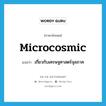 microcosmic แปลว่า?, คำศัพท์ภาษาอังกฤษ microcosmic แปลว่า เกี่ยวกับเศรษฐศาสตร์จุลภาค ประเภท ADJ หมวด ADJ