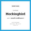 mockingbird แปลว่า?, คำศัพท์ภาษาอังกฤษ mockingbird แปลว่า นกอเมริกาลายสีดำและขาว ประเภท N หมวด N