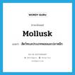 mollusk แปลว่า?, คำศัพท์ภาษาอังกฤษ mollusk แปลว่า สัตว์ทะเลประเภทหอยและปลาหมึก ประเภท N หมวด N