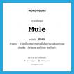 ม้าล่อ ภาษาอังกฤษ?, คำศัพท์ภาษาอังกฤษ ม้าล่อ แปลว่า mule ประเภท N ตัวอย่าง ม้าล่อนั้นบทจะโกงหรือดิ้นขึ้นมาจะไม่ฟังอะไรเลย เพิ่มเติม สัตว์ผสม แม่เป็นลา พ่อเป็นม้า หมวด N