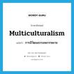 การมีวัฒนธรรมหลากหลาย ภาษาอังกฤษ?, คำศัพท์ภาษาอังกฤษ การมีวัฒนธรรมหลากหลาย แปลว่า multiculturalism ประเภท N หมวด N