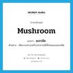 mushroom แปลว่า?, คำศัพท์ภาษาอังกฤษ mushroom แปลว่า ดอกเห็ด ประเภท N ตัวอย่าง เห็ดบางประเภทรับประทานได้ทั้งโคนและดอกเห็ด หมวด N