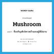 mushroom แปลว่า?, คำศัพท์ภาษาอังกฤษ mushroom แปลว่า ซึ่งเจริญเติบโตรวดเร็วและอยู่ได้ไม่นาน ประเภท ADJ หมวด ADJ