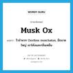 musk ox แปลว่า?, คำศัพท์ภาษาอังกฤษ musk ox แปลว่า วัวจำพวก Oxvibos moschatus, มีขนาดใหญ่ เขาโค้งและกลิ่นเหม็น ประเภท N หมวด N